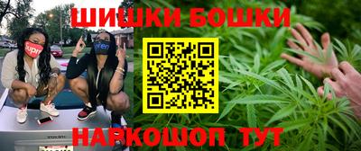 мдпв Пенза